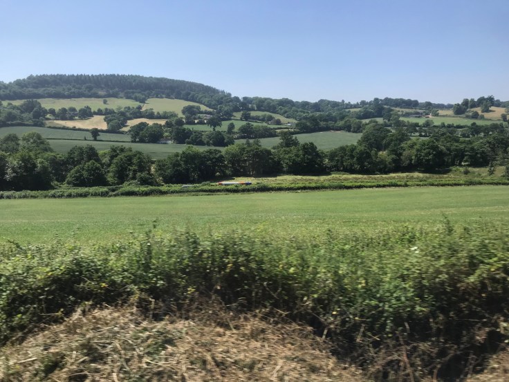 739A9299-F48E-4220-80E5-FF0932E1523C