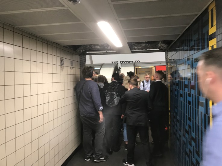 65AAA237-4196-4A73-ADE2-276E64073101